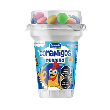 Pudding Vainilla con Discos de Chocolate