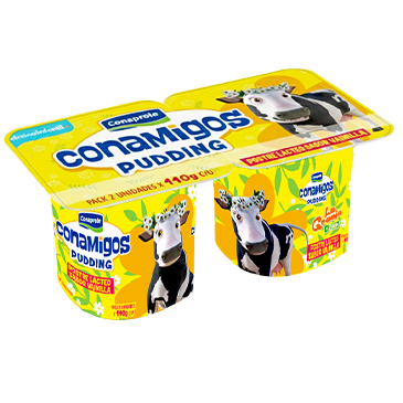 Pudding Conamigos Vainilla